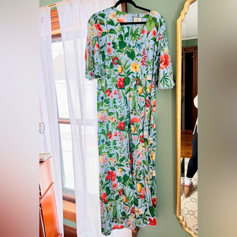 Tuckernuck ginger dress